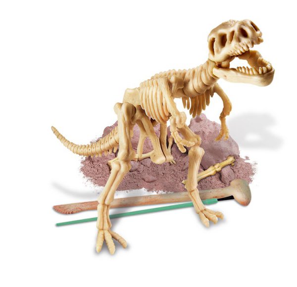 4M Kidzlabs Graaf je eigen dinosaurus op Tyrannosaurus Rex-1