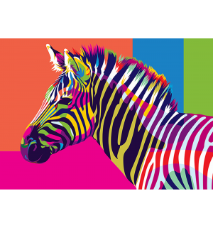 Artventura Regenboog Zebra Schilderen-op-nummer
