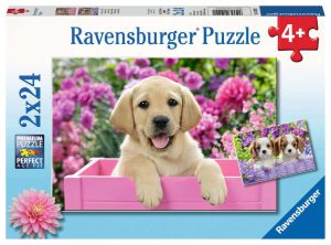 Harige vriendjes - Puzzelbox Ravensburger 2 x 24 stukjes