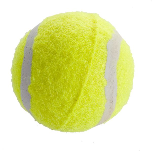 Tennisballen SportX 4 sterren 3 stuks in koker